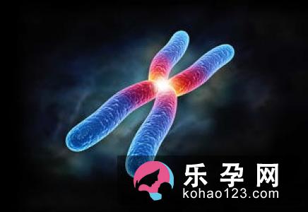 孕妇梦见鹦鹉是什么意思 是生男生女