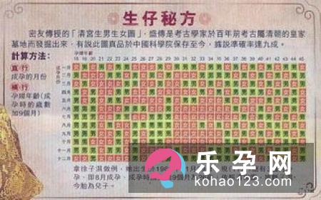 到底是什么决定生男生女