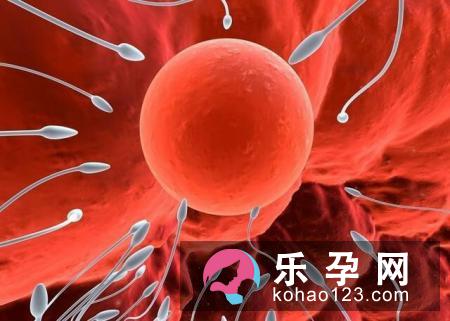 怀孕十月生男生女自己决定