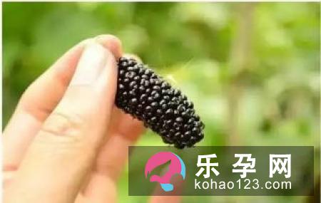 桑葚一岁宝宝可以吃吗 吃了有什么好处