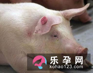 降低难产的因素 减少难产发生