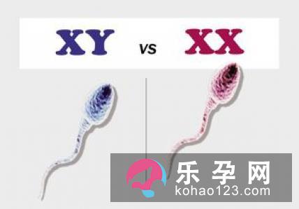 生男生女真的有办法吗