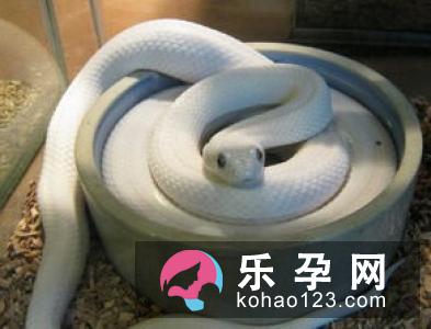孕妇梦见爬树是什么意思 是生男生女