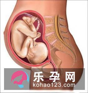 怀孕十月生男生女自己决定