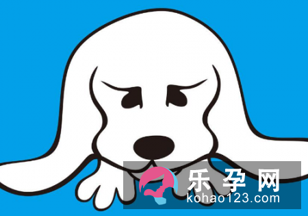 孕妇梦见白狗是什么意思 是生男生女
