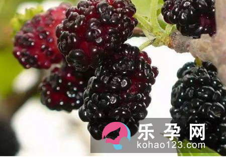 桑葚一岁宝宝可以吃吗 吃了有什么好处