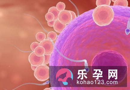 想要生男孩要在孕前做好九种准备