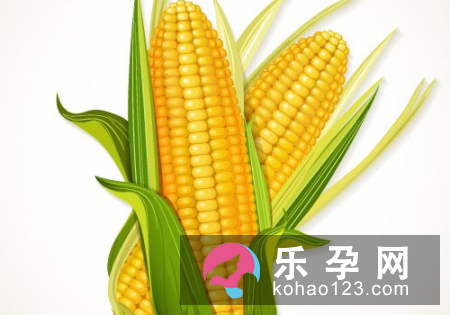 孕妇梦见玉米粒是什么意思 是生男孩还是女孩