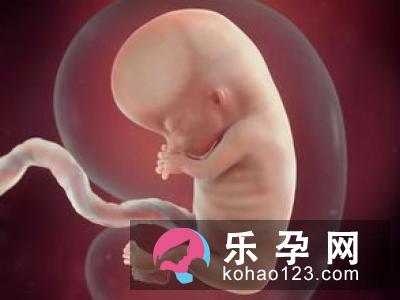 如何从孕妈妈的状态看胎儿性别