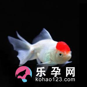 孕妇梦见穿着是什么意思 是胎梦吗