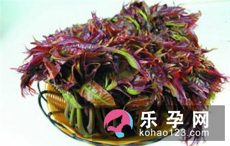常吃野菜更容易怀男孩