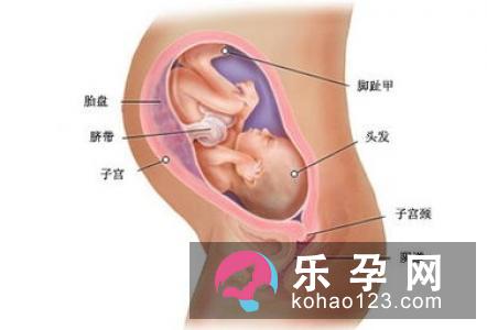 剖腹产给宝宝带来的6大危害