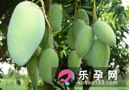 备孕能吃巧克力吗 可以吃芒果吗