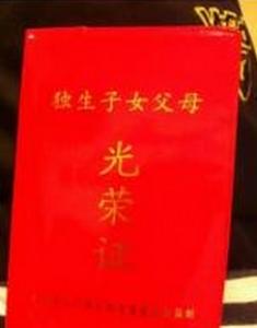 领了独生子女证还能生二胎吗 失独家庭能获得扶助吗