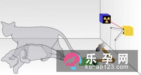 孕吐手环的原理是什么?如何缓解?