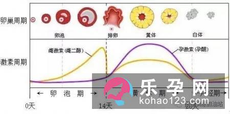 孕妇梦见打井是什么意思 是生男生女