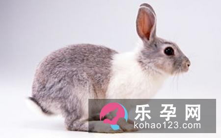 孕妇梦见吃山楂是什么意思 是生男孩还是女孩