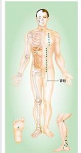 服用中药和饮食控制的最佳时间是什么