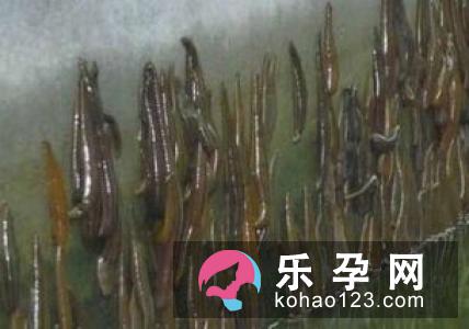 孕妇梦见别人追是什么意思 是生男生女