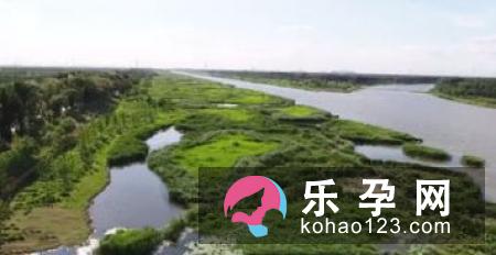 详解分娩中能做与不能做的事儿