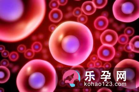 停经是指从哪天开始 宫外孕会不会停