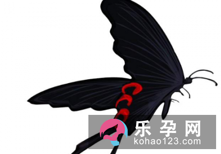 孕妇梦见黑蝴蝶是什么意思