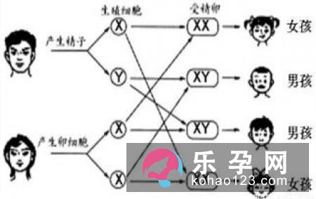 生男生女和女性并无直接关系