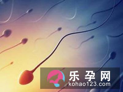 如何备孕才能提高生男孩的概率