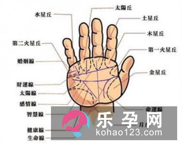 孕妇梦见鹦鹉是什么意思 是生男生女