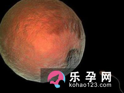 生男生女秘诀：坐浴篇