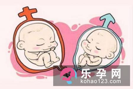 怀孕多久可以知道宝宝的性别