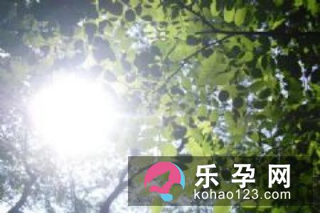 地域与胎儿性别形成有关联