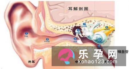 宝宝耳朵进入异物怎么办 后面长硬包是怎么回事