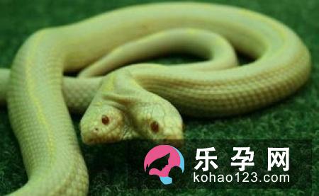 孕妇梦见烧火是什么意思 是胎梦吗