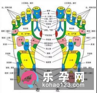 生男生女通过生理周期推算