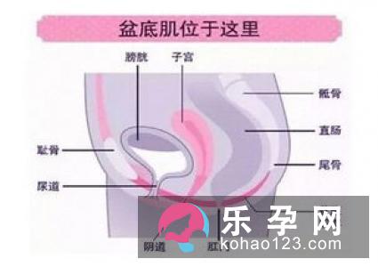 分娩突发状况该如何应对