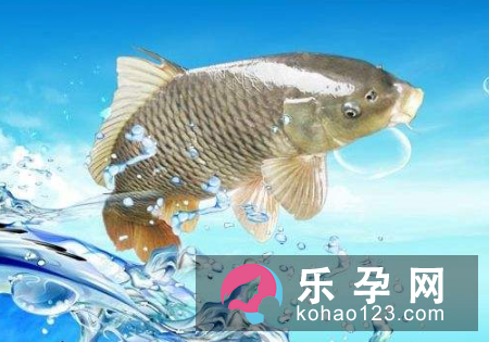 孕妇梦见鲫鱼是什么意思 是生男生女