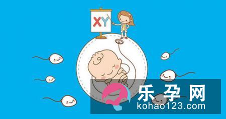 利用好排卵期决定生男生女