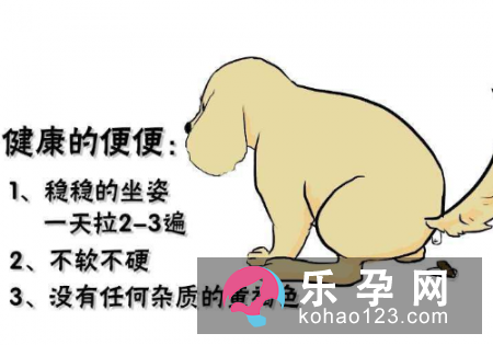 梦见狗拉屎是什么意思 孕妇梦见生男生女