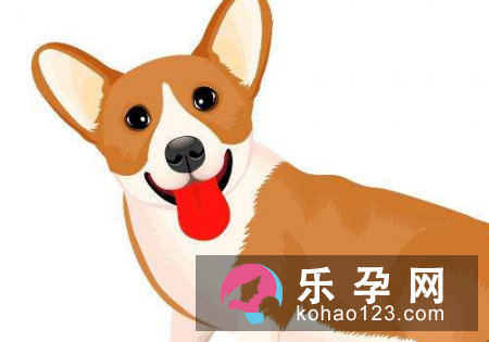 孕妇梦见狗叫是什么意思 是生男孩还是女孩 孕妇梦见狗叫是什么意思 是生男孩还是女孩