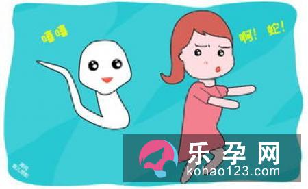 孕妇梦见蛆是什么意思 是生男孩还是女孩