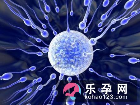 胎儿性别是在跟谁捉迷藏