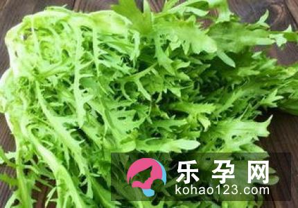 苦菊宝宝可以吃吗 有什么好处 苦菊宝宝可以吃吗 有什么好处