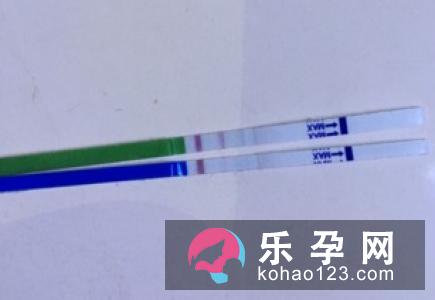 备孕的成功经验 能吃三七粉吗