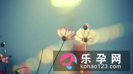 孕妇梦见芍药花是什么意思 是生男生女
