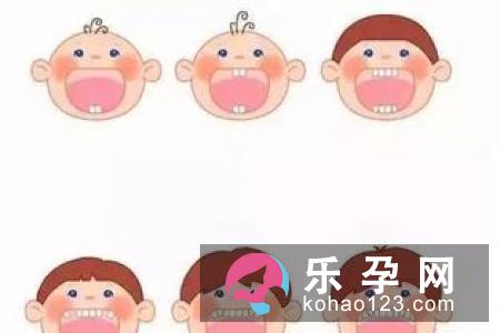 乳牙掉了多久能长出来 不长新牙怎么办