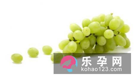 苦菊宝宝可以吃吗 有什么好处 苦菊宝宝可以吃吗 有什么好处