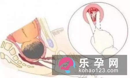 生产课堂之分娩疼痛的原因