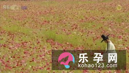 孕妇梦见芍药花是什么意思 是生男生女