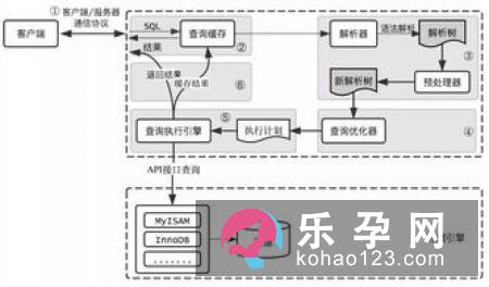 怎么才能生龙凤胎 原理是什么